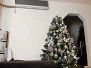 1224_Alesia_