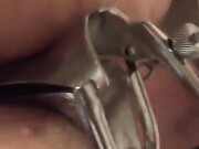 diversestacey.17.12.02.174.speculum-bum-fun-#wetandwild