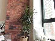 ms_lina_02102019_0855_myfreecams