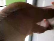 cherokeedass-31-07-2019-9125459-Stream started at 07 31 2019 01 39 am