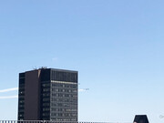 amyanderssen-28-04-2020-35324665-Thunderbirds Blue Angels flying over NYC to thank F