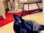 taylorwane69-11-01-2020-18623457-They are off