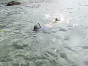 zoebloomxxx-24-11-2018-3865977-Snorkeling fun in Hawaii