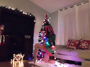 officialkmbooty-13-12-2019-16250239-Kelfy on a shelfy