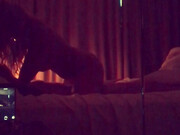 bethundressed-05-01-2018-1541790-hotel room ride