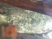 emilyhill-16-09-2020-119338897-
