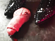 mistressvixenn-08-12-2019-15647686-GRAPHIC Completely destroyed cock
