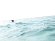 o92oo-15-02-2020-22259208-My choice is NAKED SNORKELING