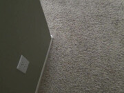 Mindi Mink _JOI For My Naughty Step-Son