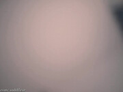 tamagochi_gf_27112020_1713_female_chaturbate