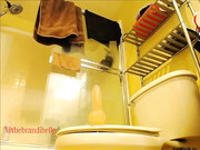Brandi Belle - Bathroom Quickie