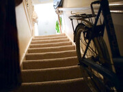 LittleTabby_My-Booty-and-my-Bicycle