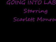 Scarlett Monroe_407-Going-Into-Labor