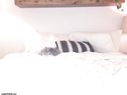 nikiskyler_22022019_0809_myfreecams_4
