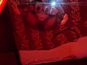 meetsuzymarie_0gmumlrixuul8tr1mnwi6