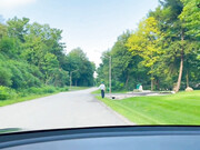 [ManyVids] Cutiepii33quinn-My First Time Hitch-Hiking Gets Messy_720p