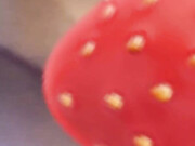 Emily Knight_Emily Knight4