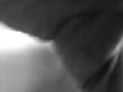 Lola_Video 24-04-2017, 9 50 31 pm