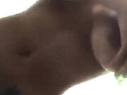 LunaStar_cutelunastar_5318867025264640