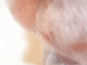 LunaStar_cutelunastarr_cutelunastarr~1431354643444_1431354643444