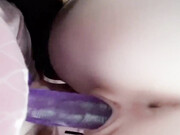 cutelilkitten_5dee00c2d99db80e65fbb