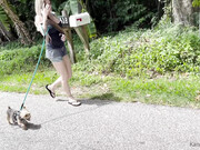 kandieangel_03-05-2021_141659617_Out_walking_my_dogs,_trying_to_stay_positive_with_this_injury