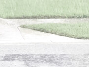 kandieangel_04-08-2021_179075921_Since_it_wonБ─≥t_stop_raining,_I_decided_to_go_dance_in_it