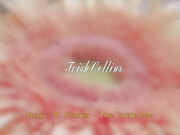 Trish Collins  pornhub_133 - Solo Female Flowery Mirror Ride