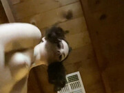 Stella Violet, stellaviolet, stellavioletxx_2056572997-16-03-2021
