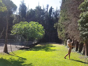 PolinaMalinovskaya onlyfans_onlyfans slinky-adv_photo (101)