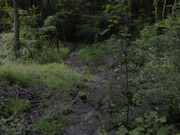ManyVids kwgirlx_kwgirlx - Fucking In A Public Forest_(id_1418492)
