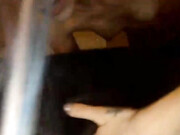 glitterglock-cbf-202106270141_5