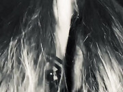 Ladyelectradominatrix onlyfans _MegaOnlyfans Reddit community (231)