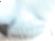 adysweet-mfc-202207080125