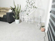 hippybabee-mfc-202207060124_3_1