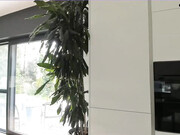 miiiawallace-cbf-202205021116_6
